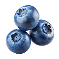 Juniper Berries Icon